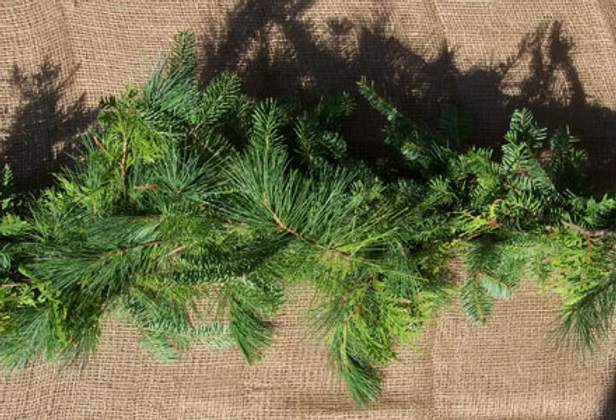 Cedar & Pine Garland 25'